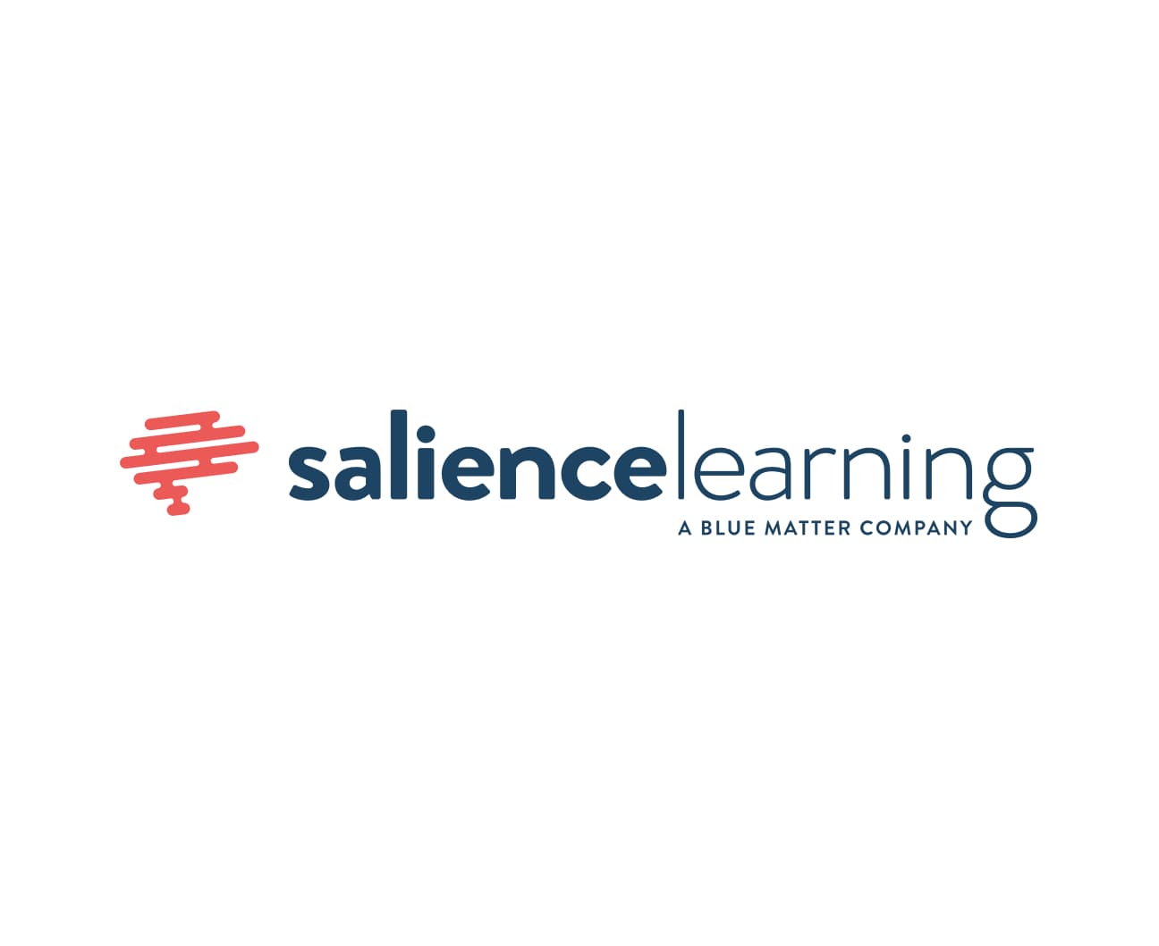 Salience Learning