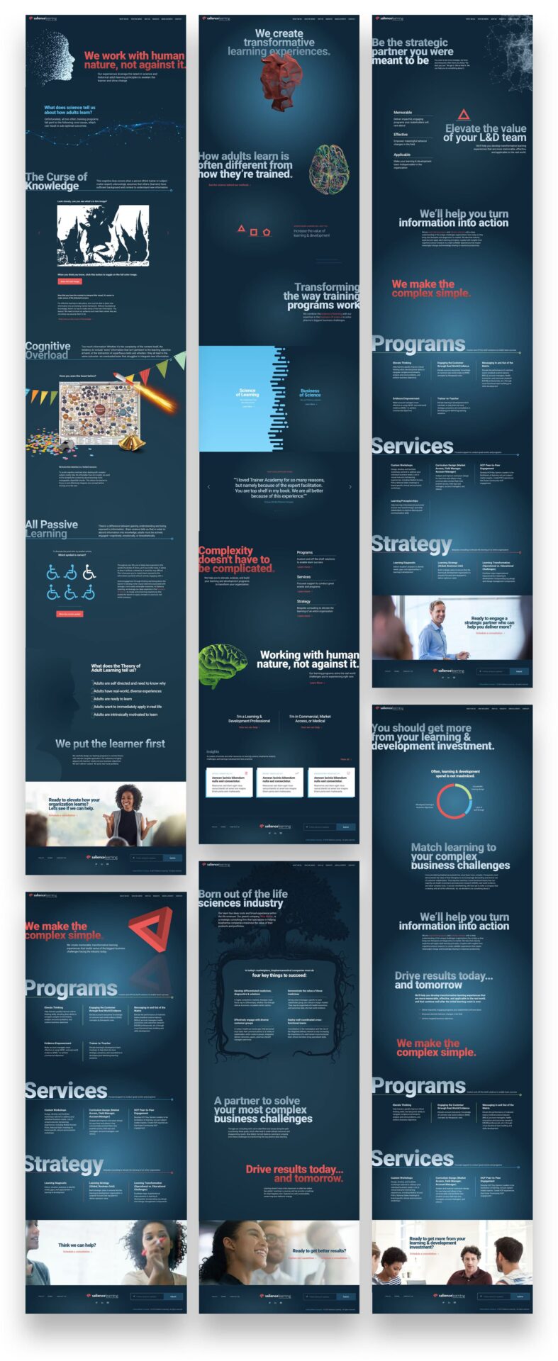 King Design Salience Learning Website Design Development