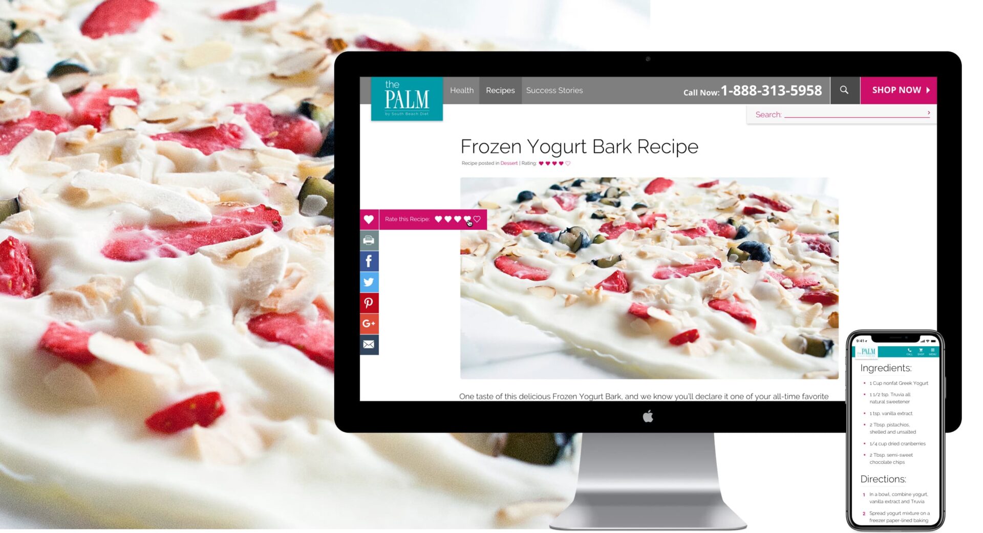 King Design South Beach Diet The Palm Recipes