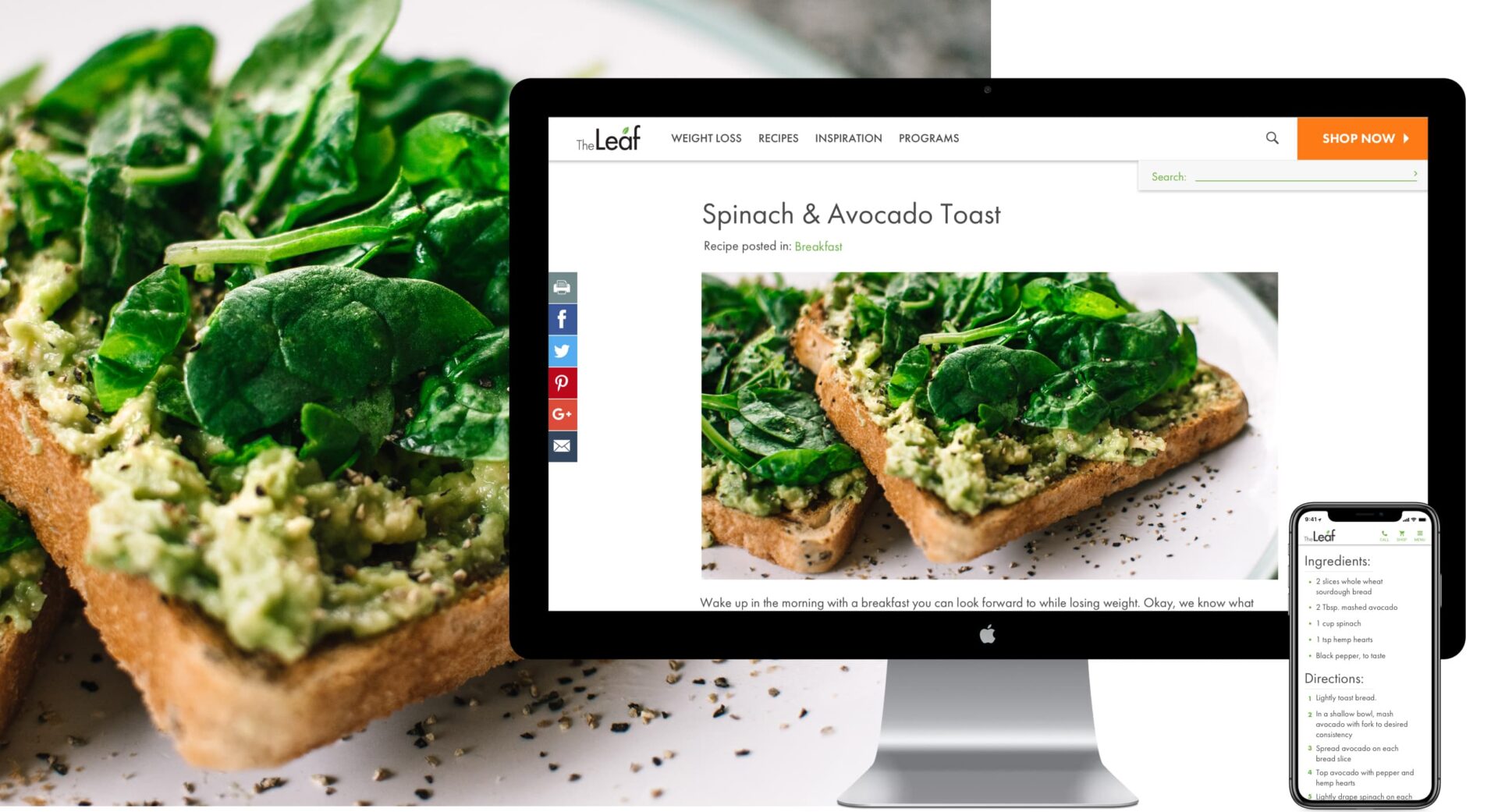 King Design The Leaf Nutrisystem Recipe Responsive Website Design