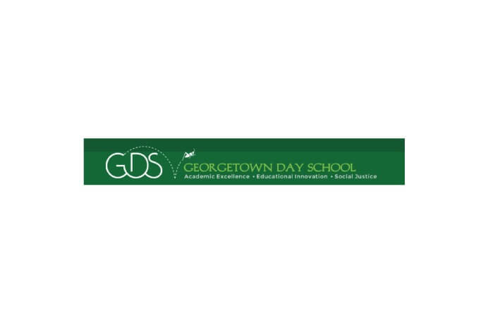 GDS Old Logo